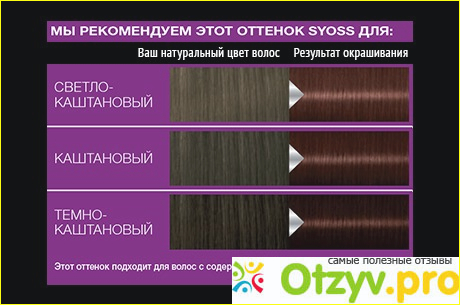 Отзыв о Краска для волос SYOSS Gloss sensation