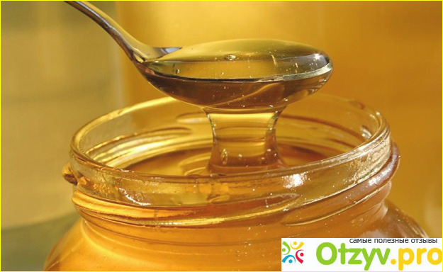 Как правильно употреблять мёд в лечебных целях фото2
