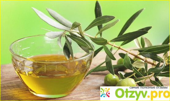 Оливковое масло глобал виладж отзывы фото2