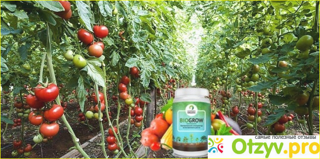 Отзыв о Biogrow удобрение отрицательные отзывы