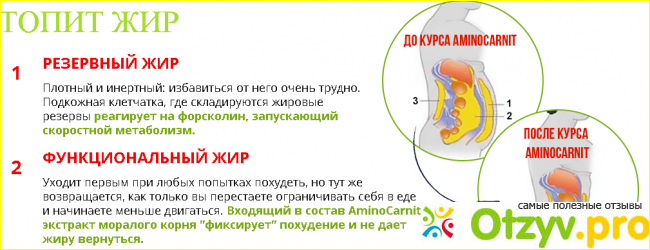 Аминокарнит - отличная фигура без жировых отложений