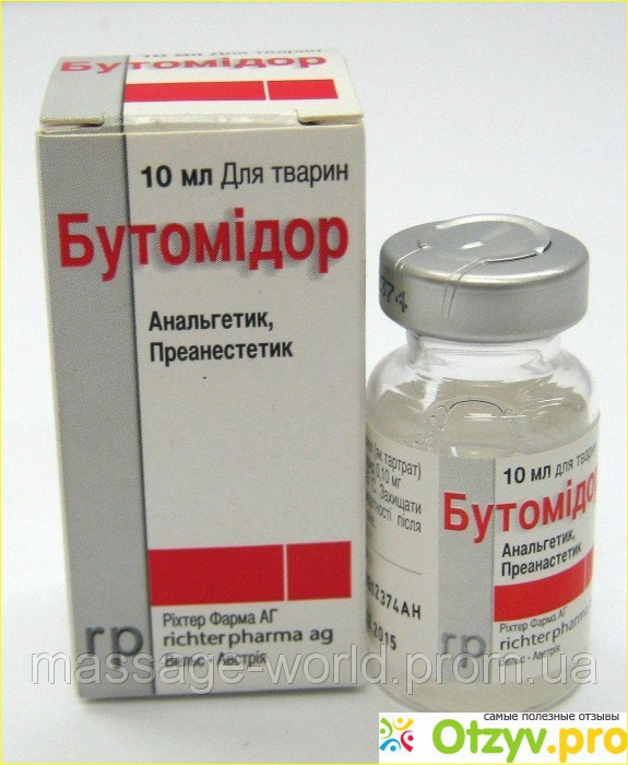 Рифен для собак от Richter Pharma.