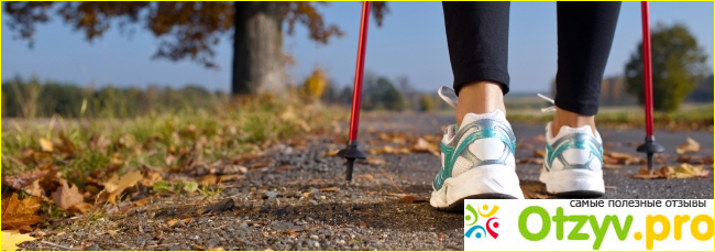 Скандинавская ходьба (Nordic Walking) фото9