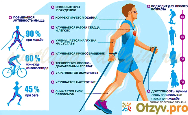 Отзыв о Скандинавская ходьба (Nordic Walking)