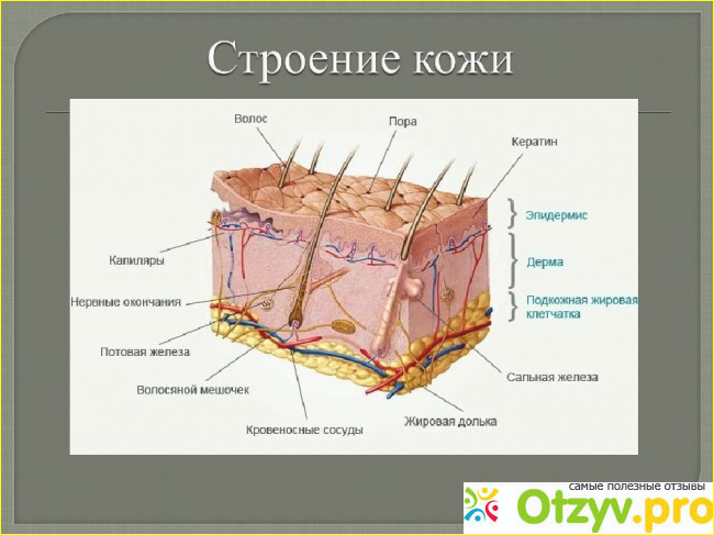 Действующий состав