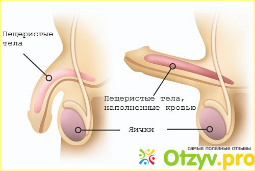 Динамико Отзывы мужчин