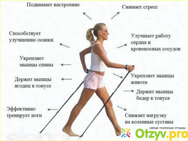 Скандинавская ходьба (Nordic Walking) фото4