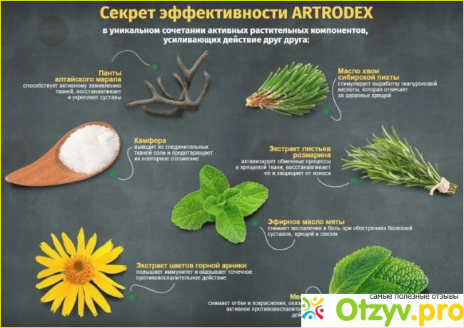 Artrodex отзывы