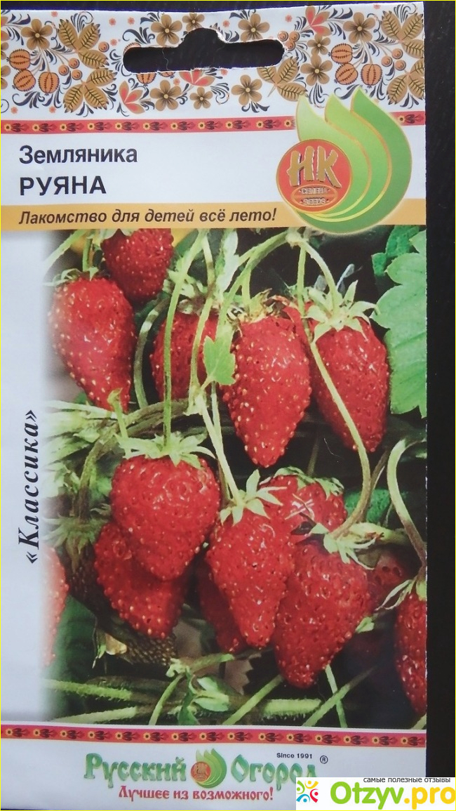 Отзыв о Земляника руяна описание сорта фото отзывы
