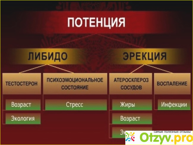 Показания к применению.