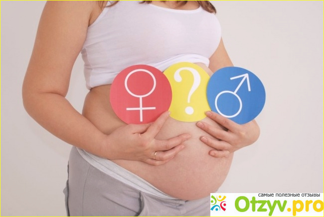 На каком сроке беременности можно узнать пол ребенка фото1