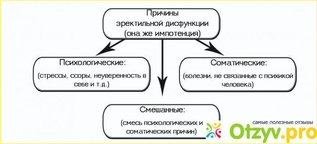 Симптомы и виды эректильной дисфункции