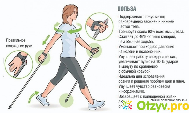 Скандинавская ходьба (Nordic Walking) фото5