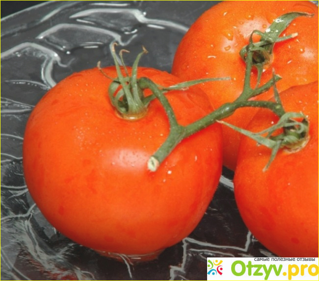 Мой опыт выращивания томата медовый. 