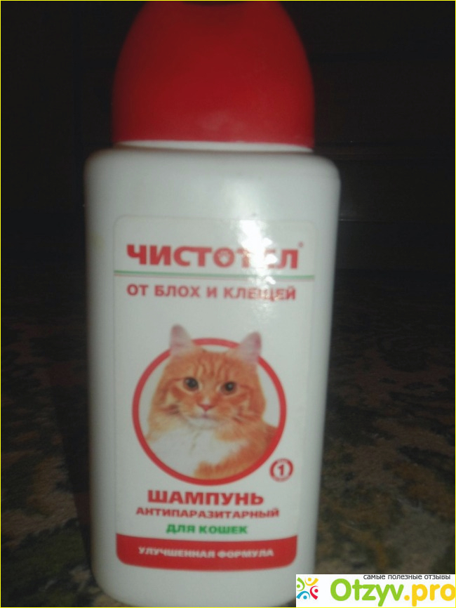 Отзыв о Шампунь для котят отзывы
