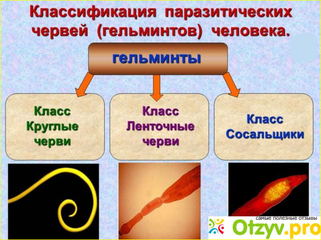 Клинические исследования препарата