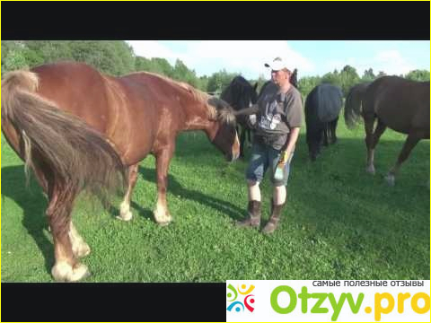 Отзыв о Креолин для людей лечение отзывы
