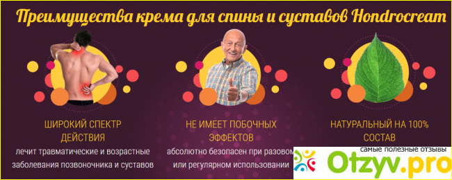 Что входит в состав Хондрокрема?