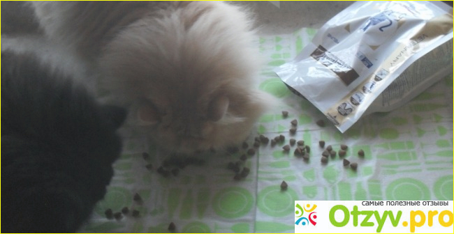 Сухой корм для кошек Royal Canin Gastro INTESTINAL GI32 фото1
