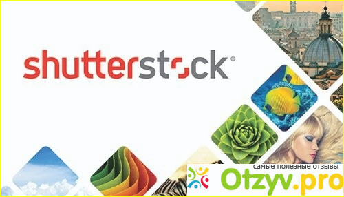 Shutterstock 