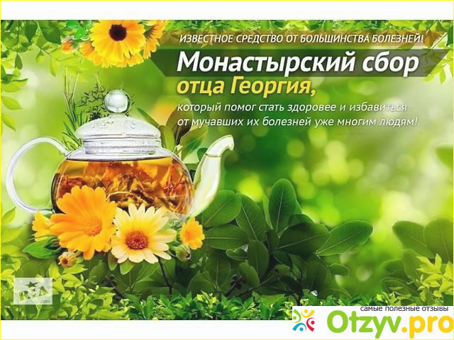 Как заваривать и принимать?