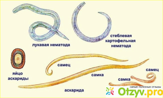 Все об Юнитоксе: правда или развод?