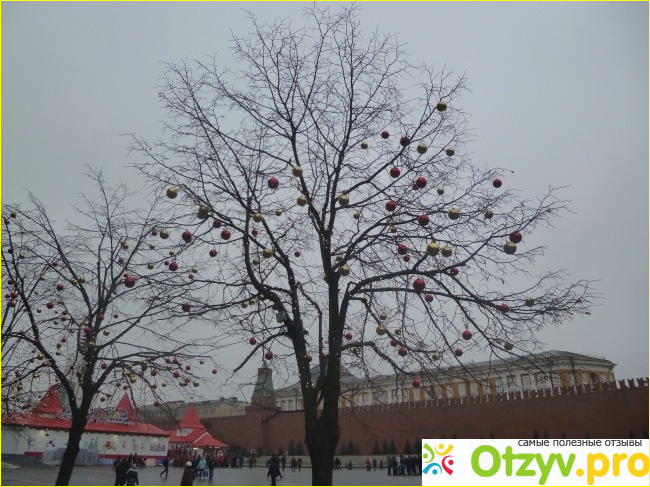 Новогодние гуляния в москве отзывы фото1