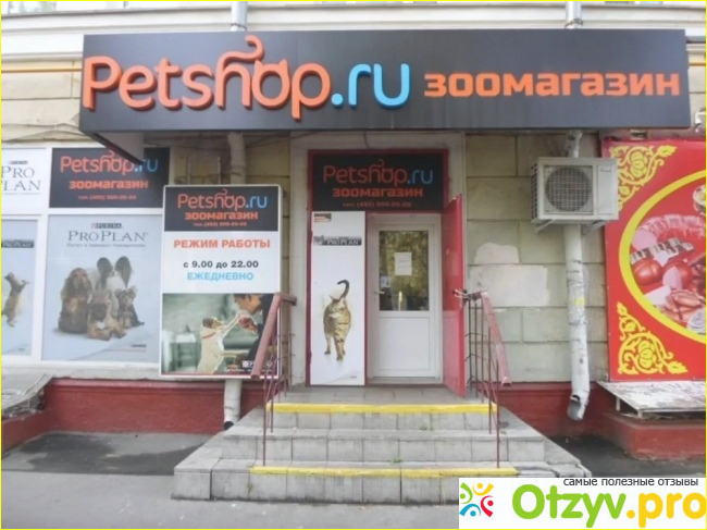 Petshop отзывы сотрудников фото1