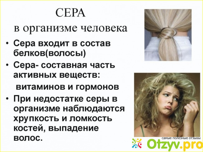 Сера в организме человека. 