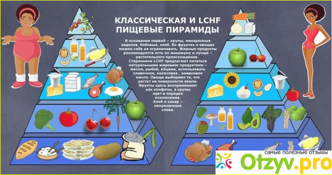 Основные принципы Lchf диеты. Автор - Сэм Клебанов