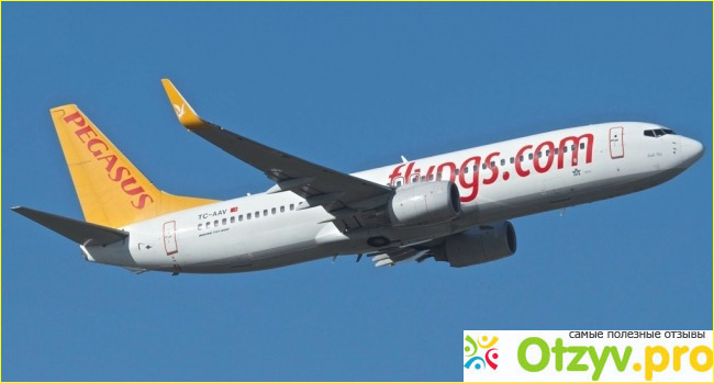 Авиакомпания Pegasus Airlines