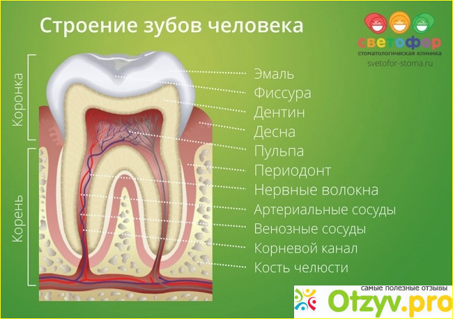 Стоит ли идти в поликлинику 