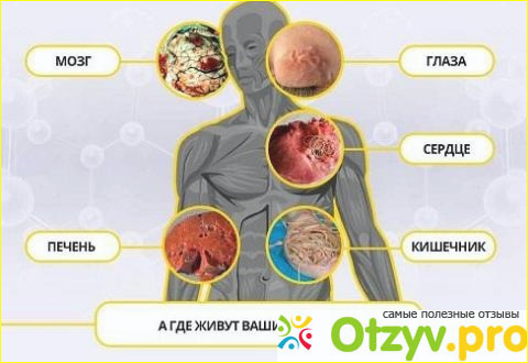 Состав Pazax от паразитов