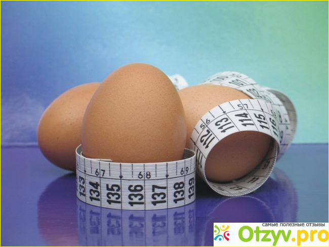 Полезна ли диета на яйцах?