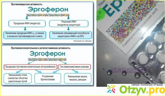 Мой негативный отзыв о препарате Эргоферон