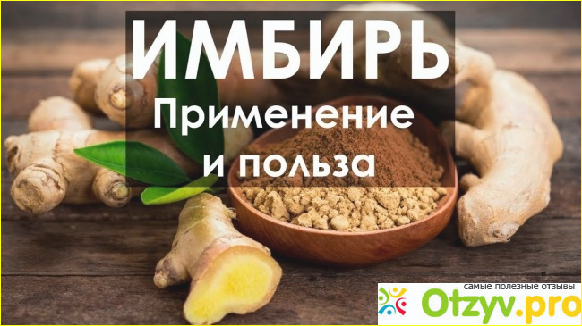 Польза имбиря для организма