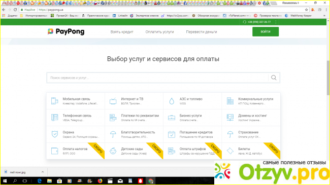 PayPong – онлайн платформа мгновенных финансовых услуг фото2