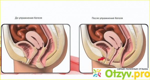 Как правильно?