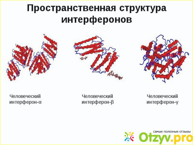 Типы интерферонов