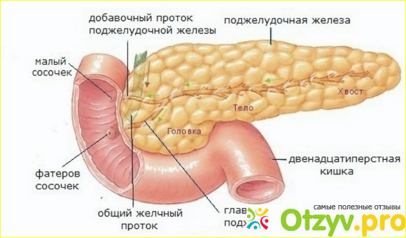 Где расположена