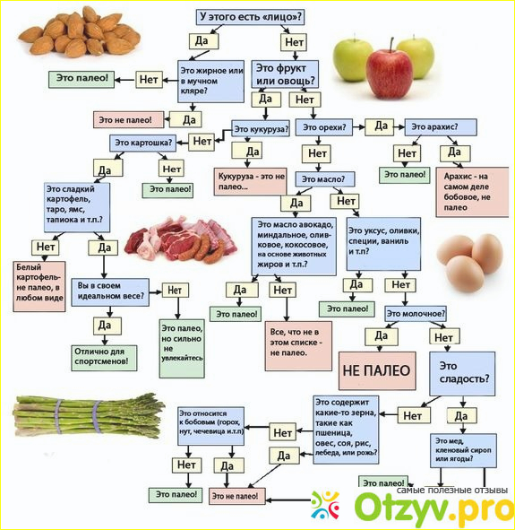 Палео диета отзывы фото1