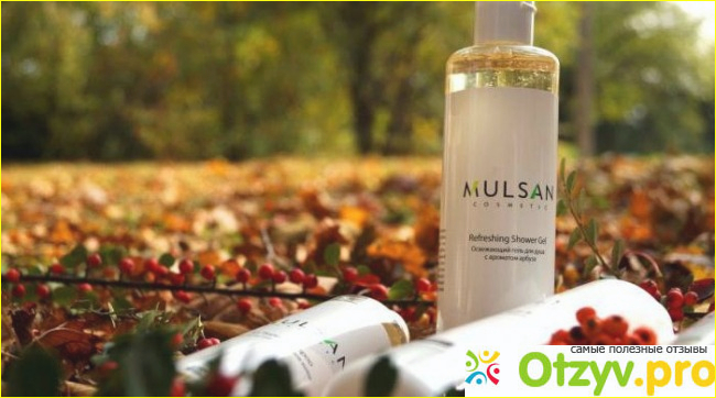 Отзыв о Шампунь mulsan cosmetic отзывы