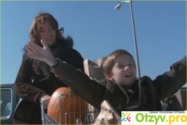 Общее описание