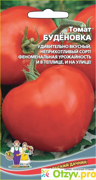 Отзыв о Буденовка томат отзывы фото
