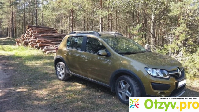 Renault Sandero Stepway (Рено Сандеро Степвей) - отзыв.