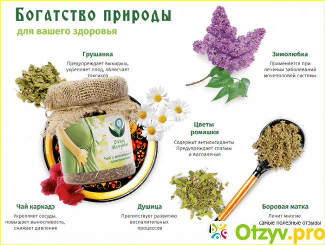 Состав настоя