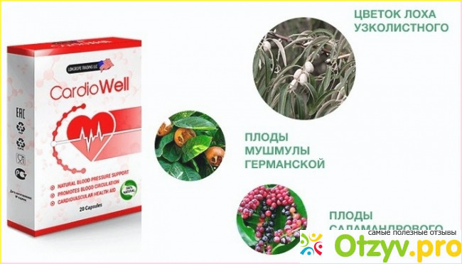 Что говорят профессионалы о CardioWell: отзывы врачей