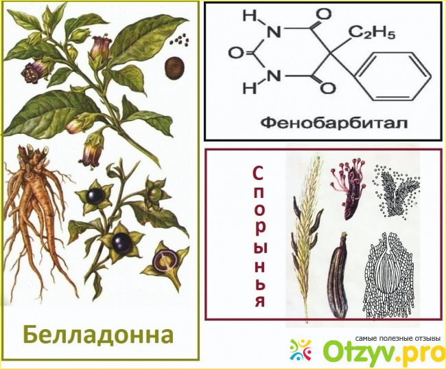 5. Меры предосторожности