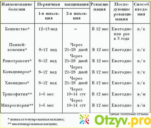 Прививка от пневмококка.