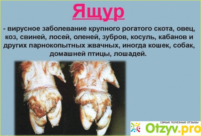 3. Диагностика, лечение и профилактика